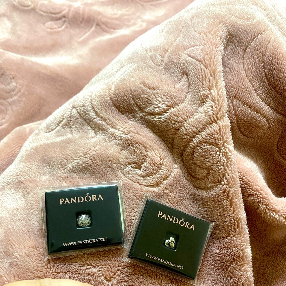 Pandora floating charms for locket necklace